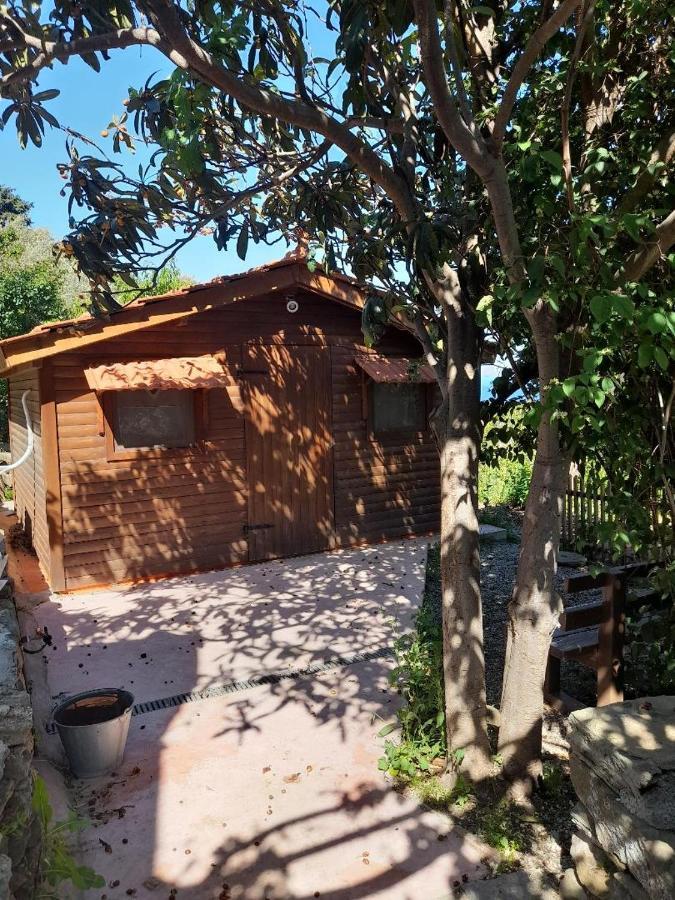 Casa Di Patouria , Stenies Andros Apikia  Buitenkant foto